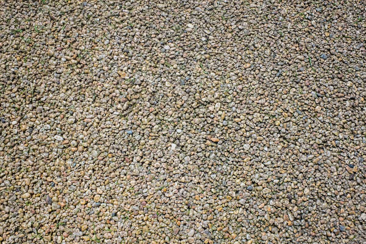 A close-up view of many small, round pebbles covering the ground, creating a textured surface with varying shades of brown and gray.
